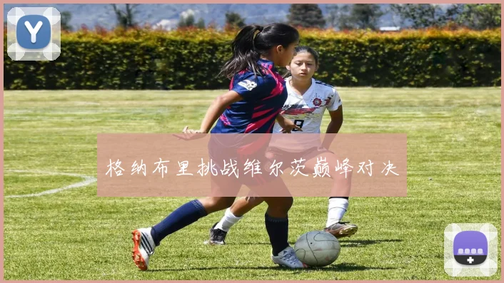 格纳布里挑战维尔茨巅峰对决