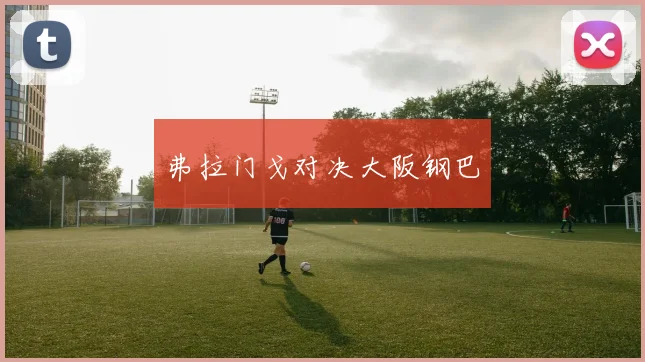 弗拉门戈对决大阪钢巴
