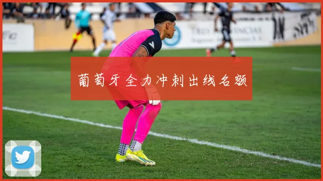 葡萄牙全力冲刺出线名额