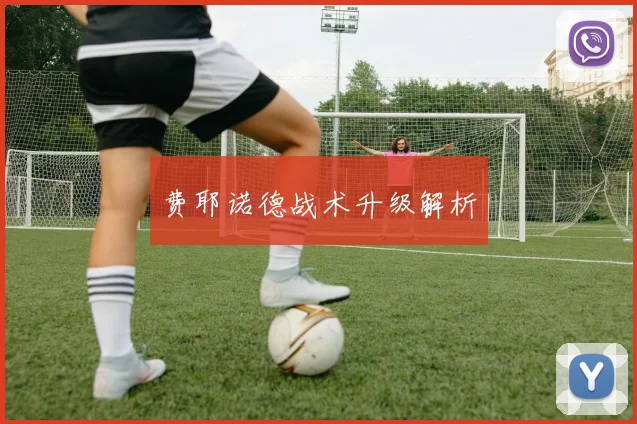 费耶诺德战术升级解析