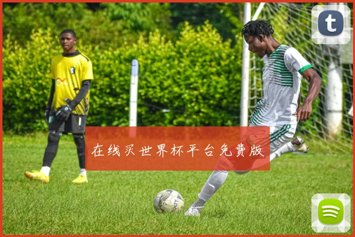 在线买世界杯平台免费版