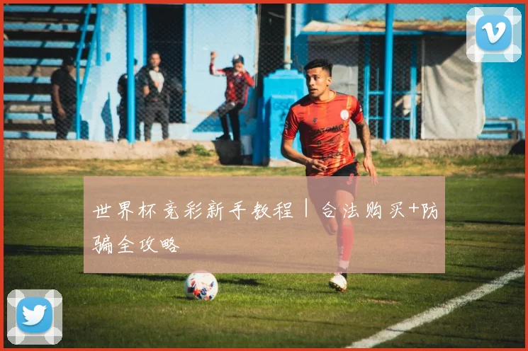 世界杯竞彩新手教程｜合法购买+防骗全攻略