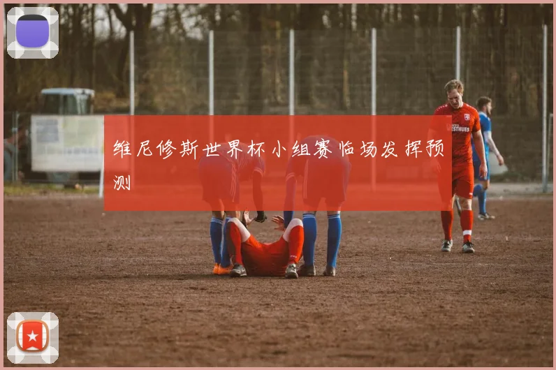 维尼修斯世界杯小组赛临场发挥预测