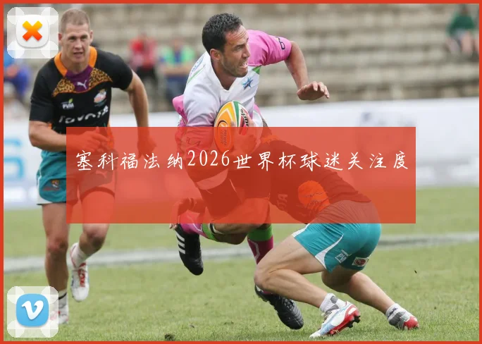 塞科福法纳2026世界杯球迷关注度