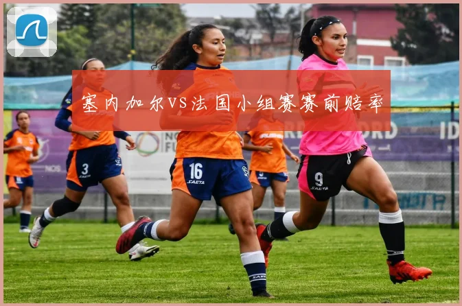 塞内加尔vs法国小组赛赛前赔率