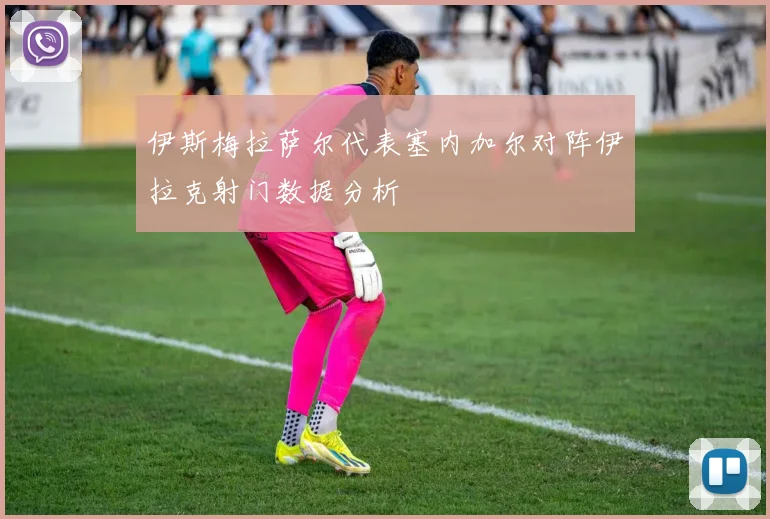 伊斯梅拉萨尔代表塞内加尔对阵伊拉克射门数据分析
