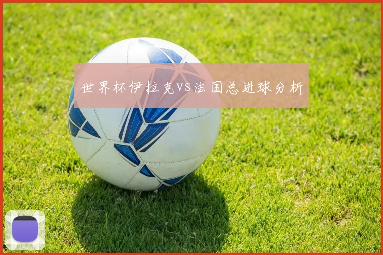 世界杯伊拉克vs法国总进球分析