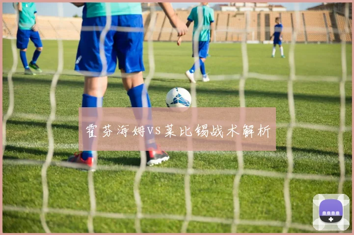 霍芬海姆vs莱比锡战术解析